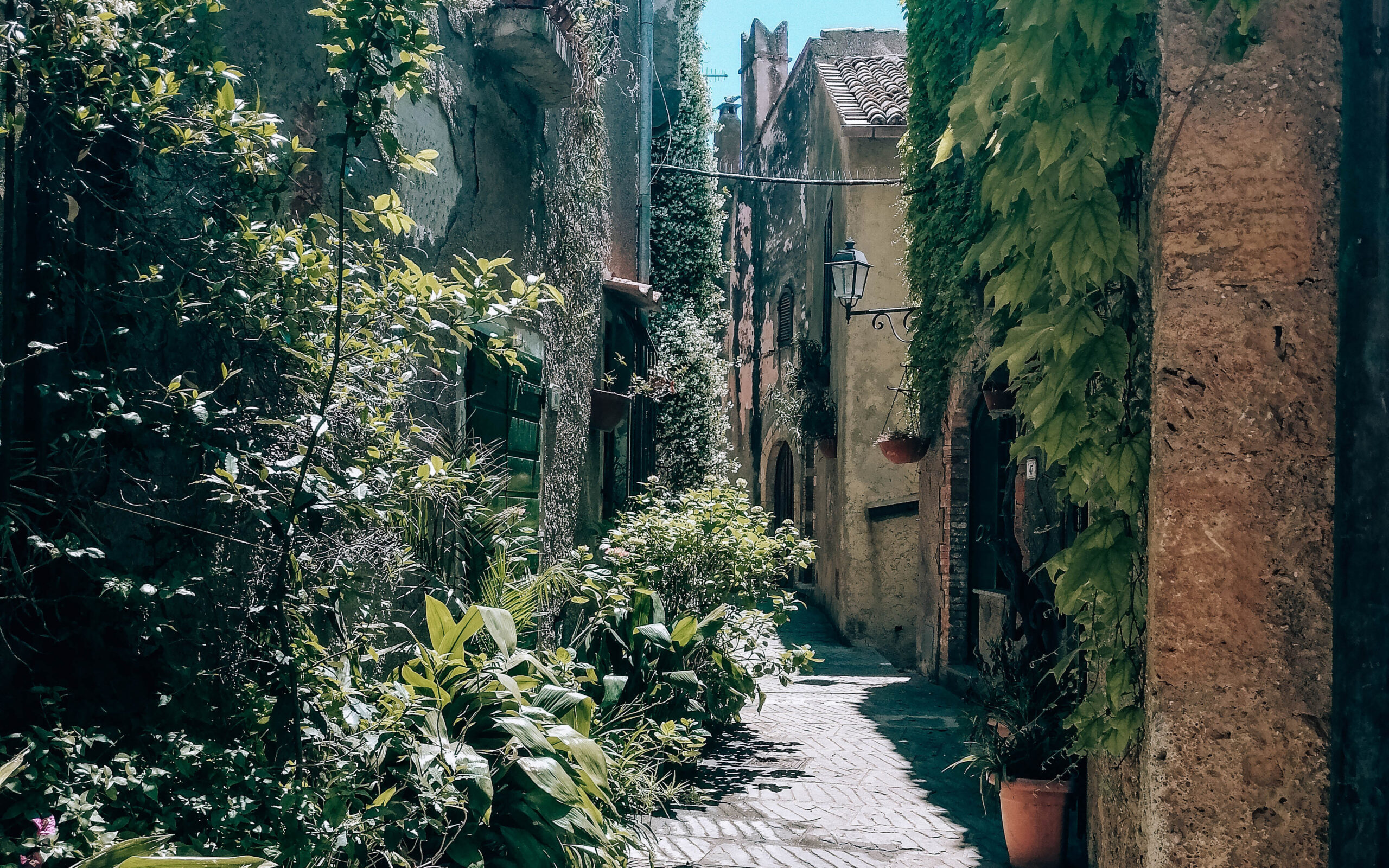 Capalbio strade del borgo