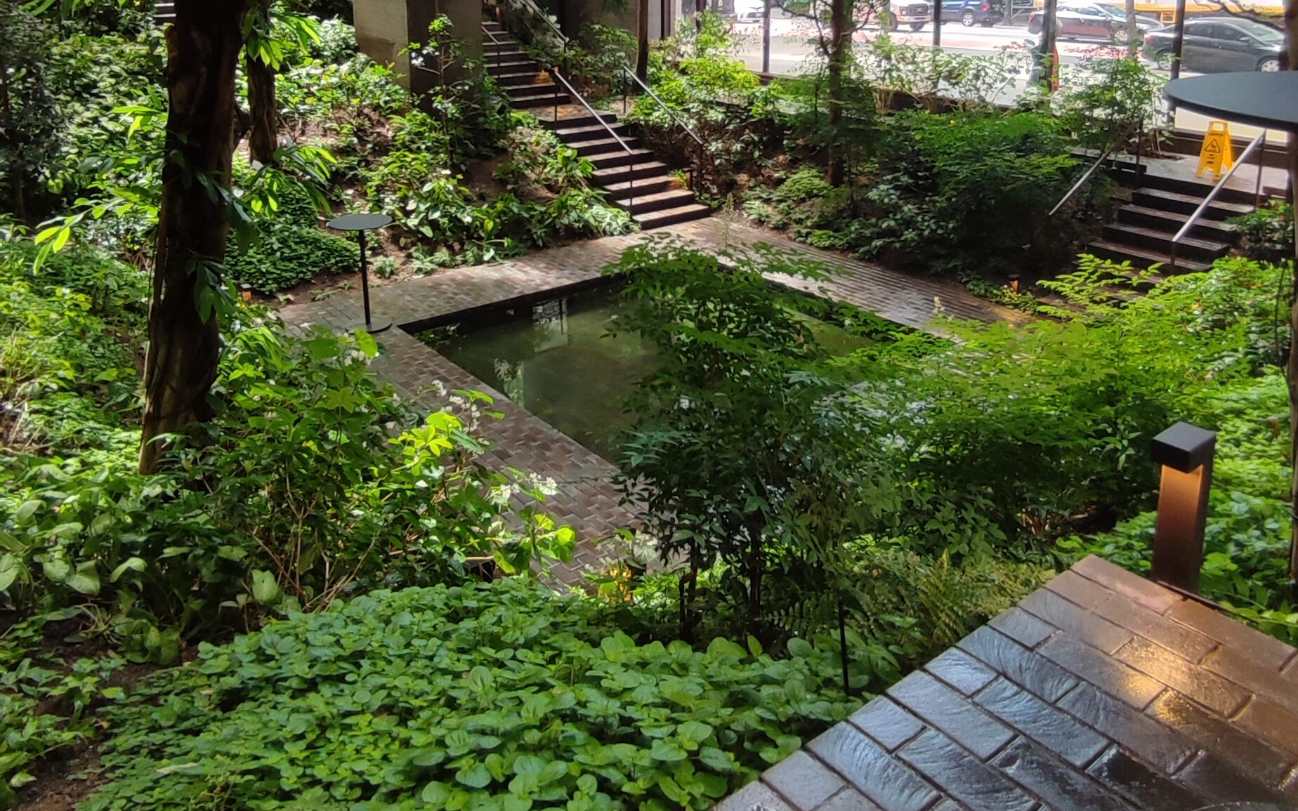 posti insoliti di New York passerelle di accesso alla foresta tropicale